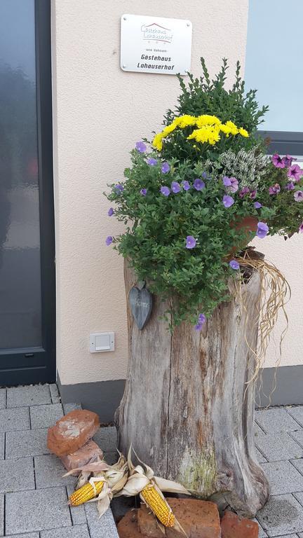 Lohauserhof - Biohof Und Hotel Rohrmoos Esterno foto